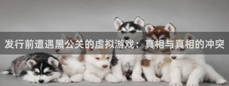 新宝GG子集团：发行前遭遇黑公关的虚拟游戏：真相与真相的冲突