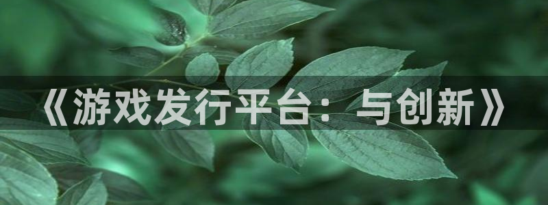 新宝GG注册开户：《游戏发行平台：与创新》