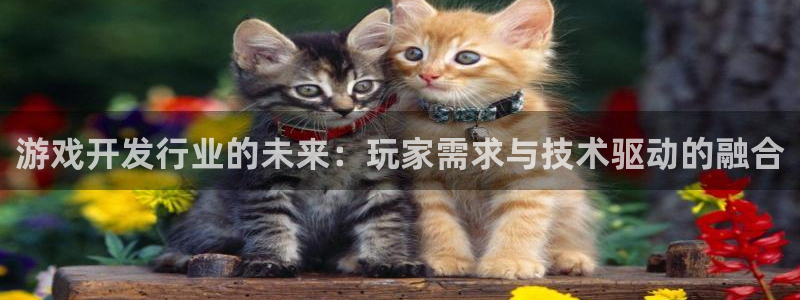 新宝GG官网注册平台是什么意思：游戏开发行业的未来：玩家需求与技术驱动的融合