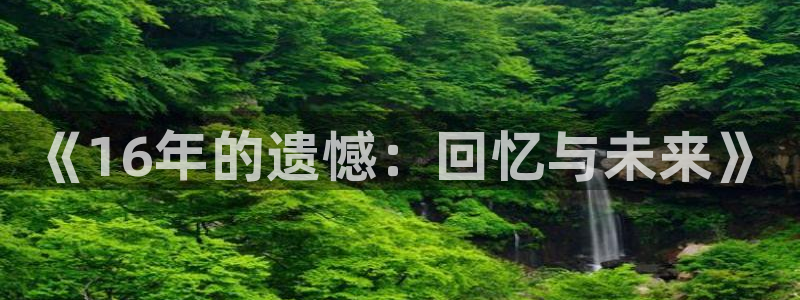 lvnces新宝GG衣服价格：《16年的遗憾：回忆与未来》
