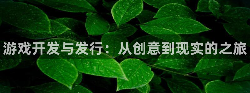 新宝GG官网登录注册不了怎么办：游戏开发与发行：从创意到现实的之旅