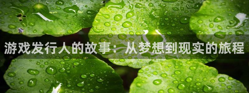 新宝GG官网注册地址在哪里：游戏发行人的故事：从梦想到现实的旅程