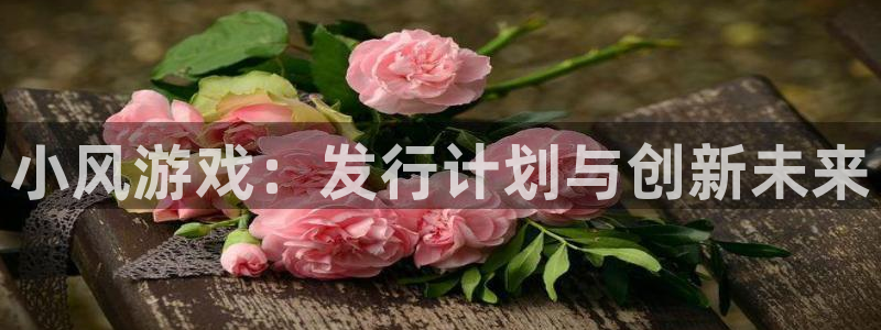 新宝GG官网挂机项目怎么样啊