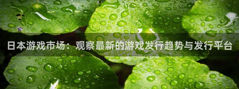 新宝GG官网平台怎么样知乎：日本游戏市场：观察最新的游戏发行趋势与发行平台