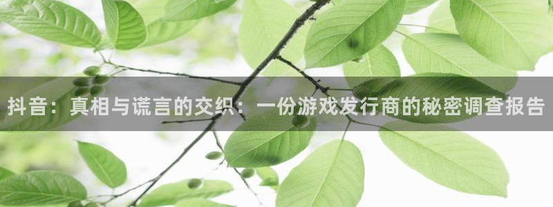 新宝GG官网的钱能提出来吗
