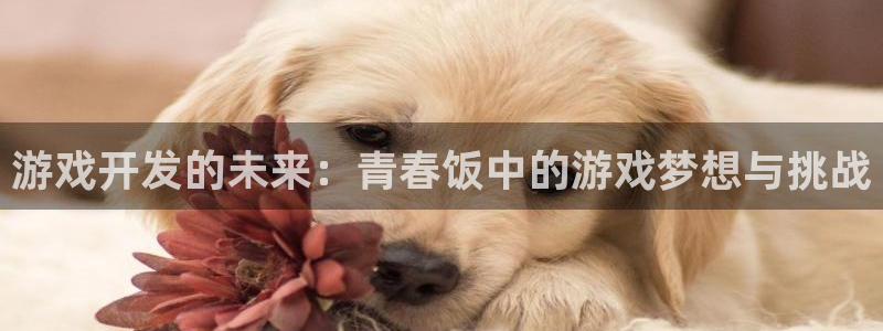 新宝GG官网客服电话号码