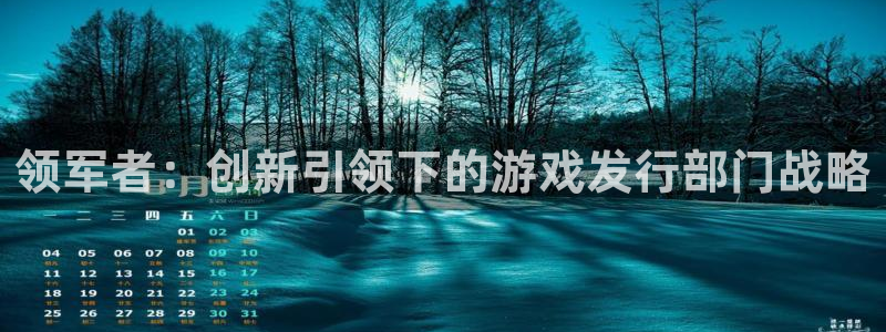 新宝GG图片