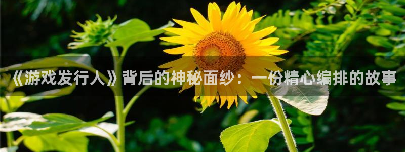 新宝GG子图片