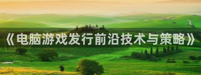新宝GG官网注册登录不了：《电脑游戏发行前沿技术与策略》
