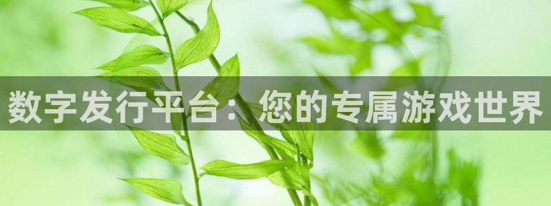 新宝GG官网注册平台官网登录：数字发行平台：您的专属游戏世界
