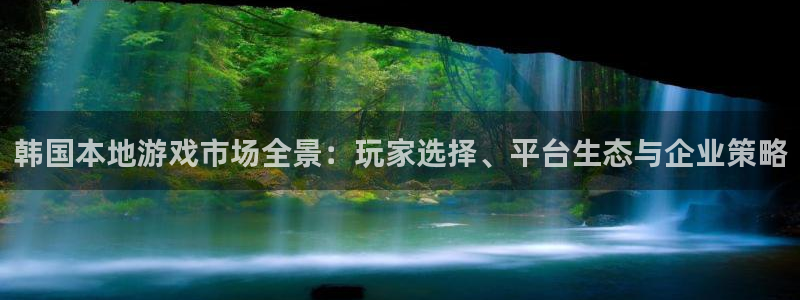 新宝GG装饰：韩国本地游戏市场全景：玩家选择、平台生态与企业策略