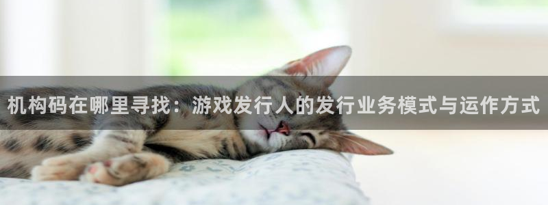 新宝GG品牌策划：机构码在哪里寻找：游戏发行人的发行业务模式与运作方式