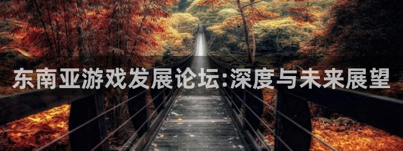 新宝GG子教育科技有限公司：东南亚游戏发展论坛:深度与未来展望