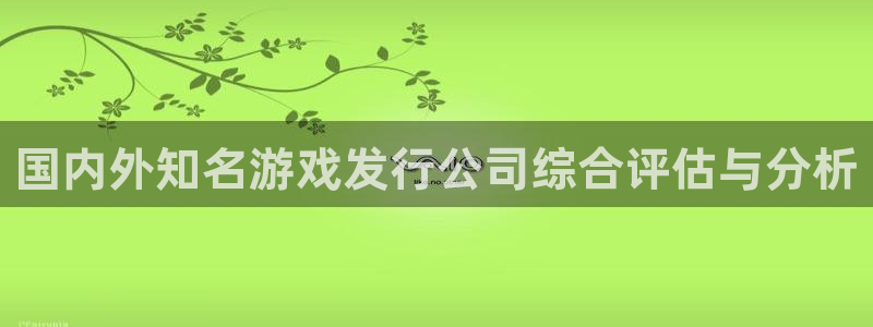 新宝GG官网注册平台怎么样可靠吗：国内外知名游戏发行公司综合评估与分析