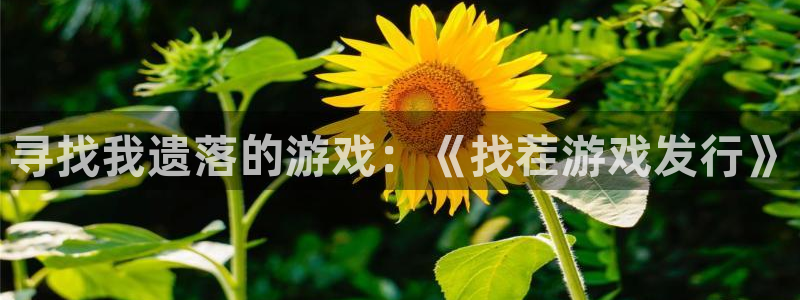 新宝GG智得官网：寻找我遗落的游戏：《找茬游戏发行》