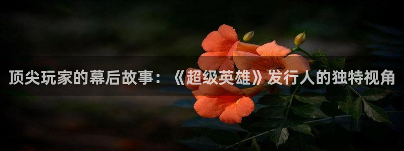广州新宝GG投资：顶尖玩家的幕后故事：《超级英雄》发行人的独特视角