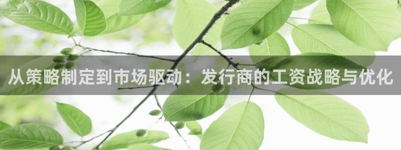 陕西新宝GG子文化创意是什么：从策略制定到市场驱动：发行商的工资战略与优化