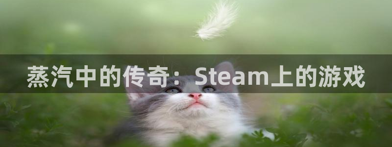 新宝GG电子科技股票：蒸汽中的传奇：Steam上的游戏
