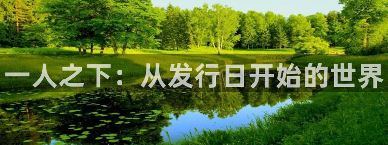 新宝GGgs：一人之下：从发行日开始的世界