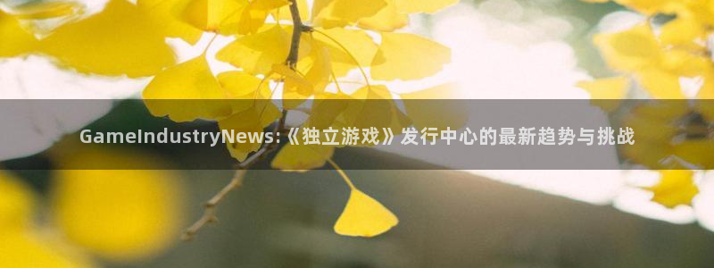 新宝GG防水的质量怎么样：GameIndustryNews:《独立游戏》发行中心的最新趋势与挑战