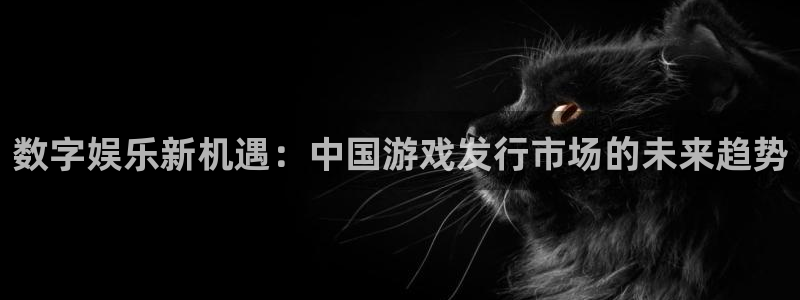 新宝GG官网登录注册账号安全吗：数字娱乐新机遇：中国游戏发行市场的未来趋势