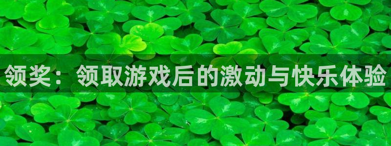 广东新宝GG电商bruno