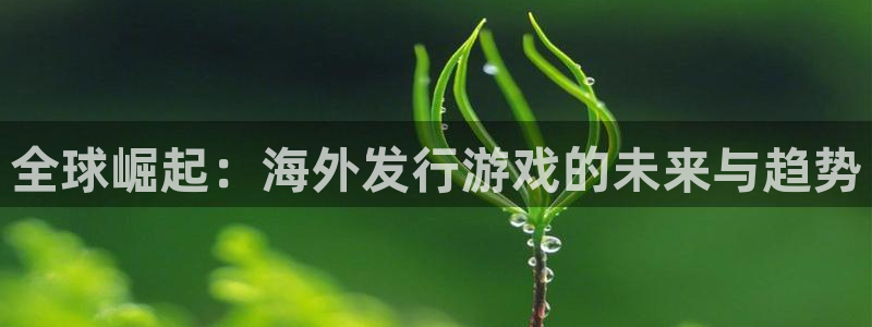 新宝GG干红葡萄酒750毫升多少钱