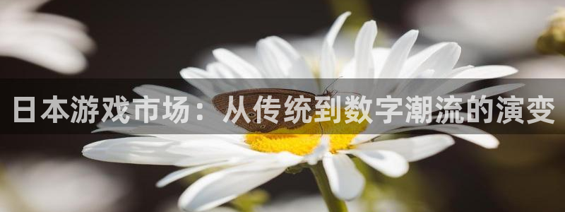 新宝GG官网平台注册账号注意事项